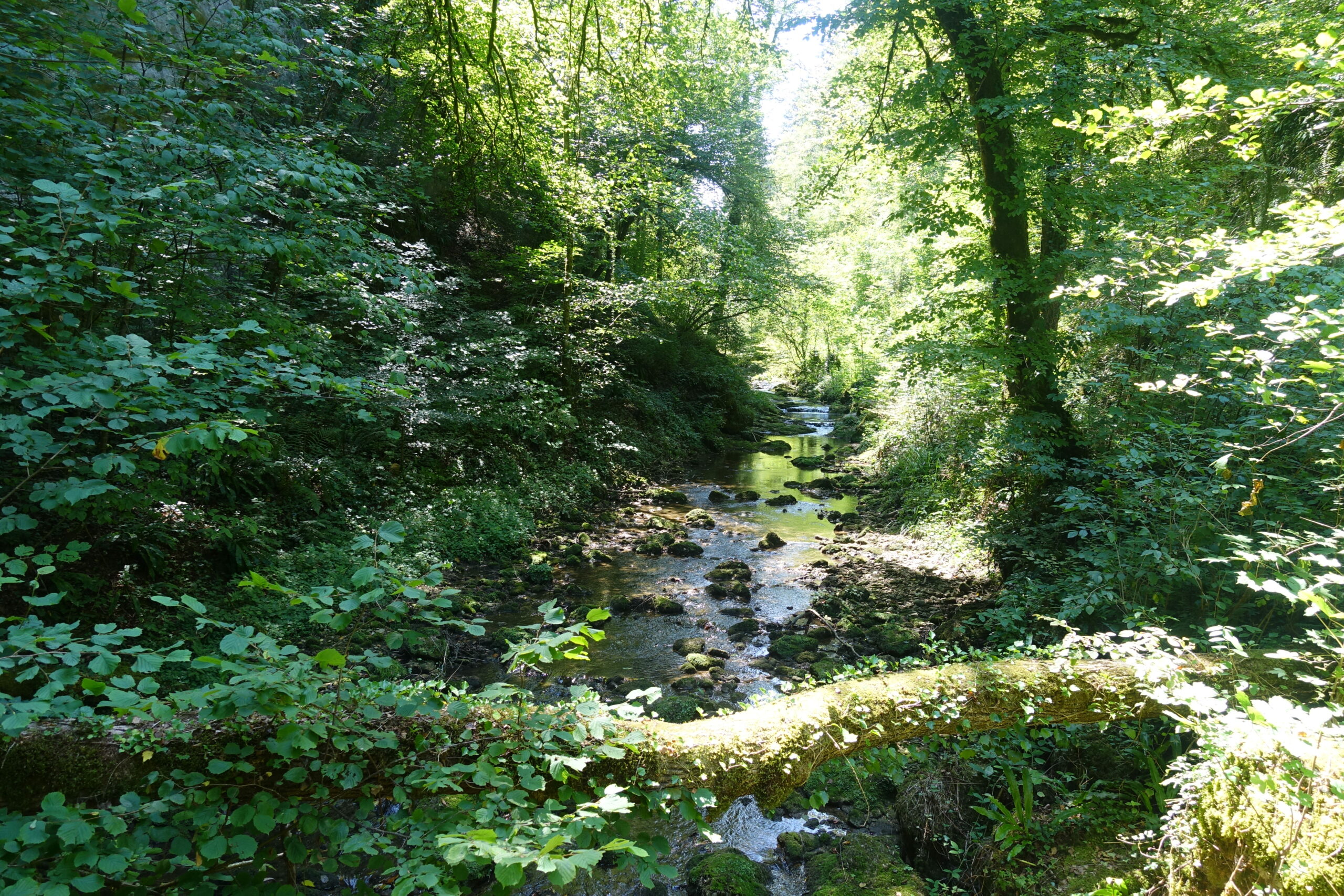 Wanderung: Karstlehrpfad Kaltbrunnental-Brislachallmet