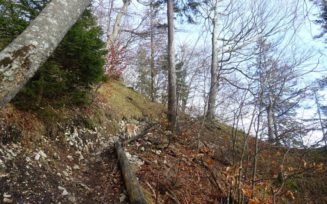 Winterwanderung Höllchöpfli