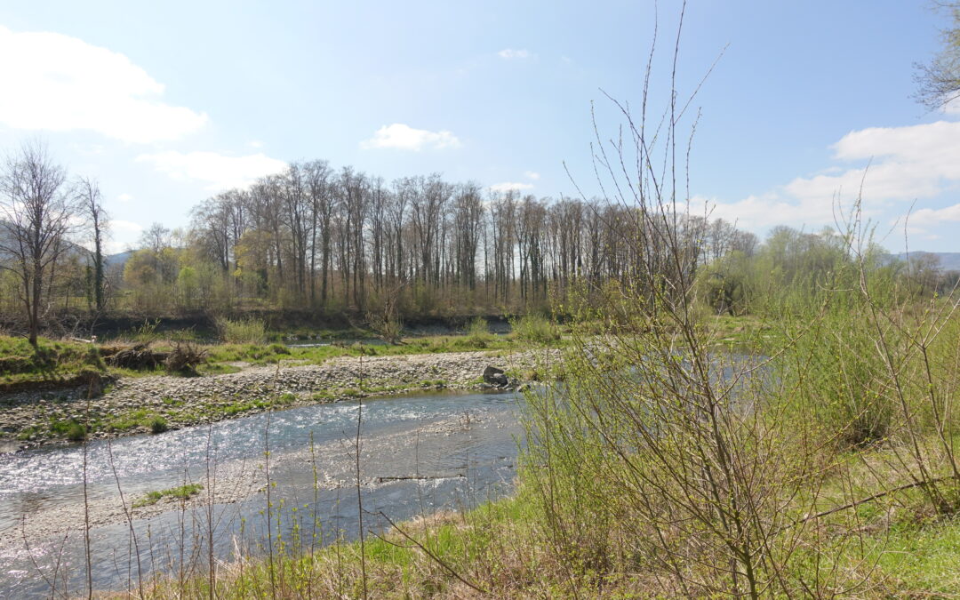 Dr Aare nah, von Aarau nach Olten