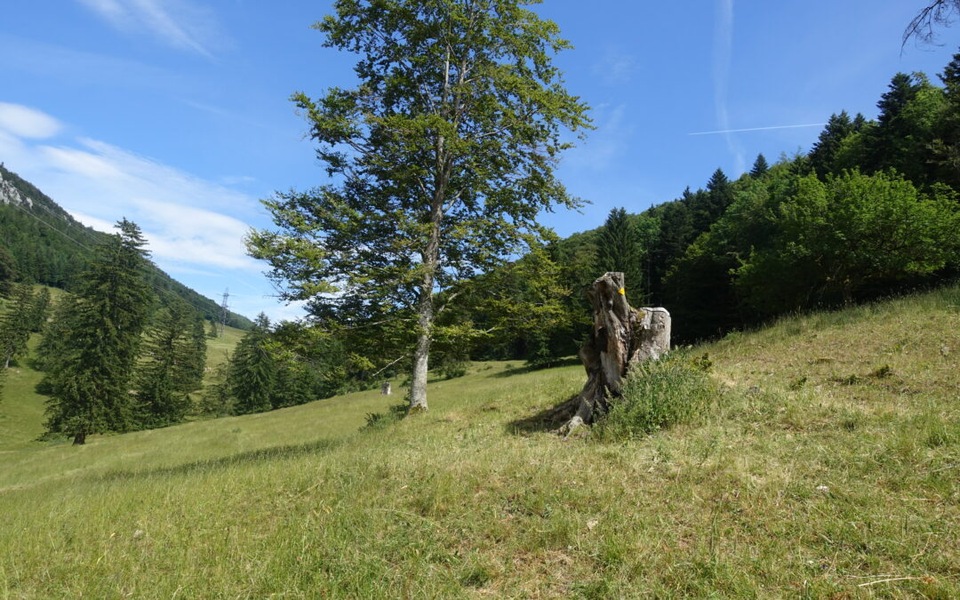 Wanderung Rüttelhorn