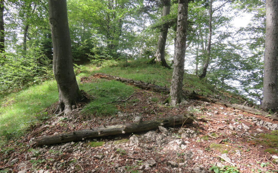 Wanderung Langenbruck – Waldenburg