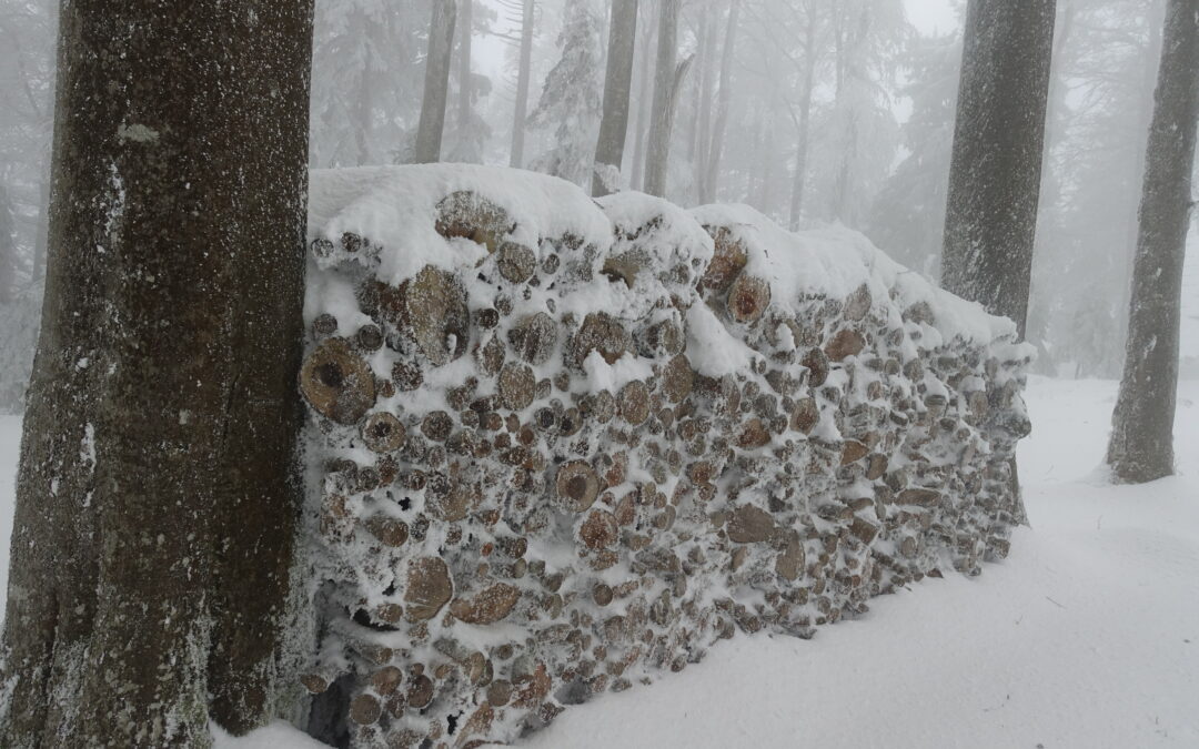 Schneeschuhwanderung um Bellelay