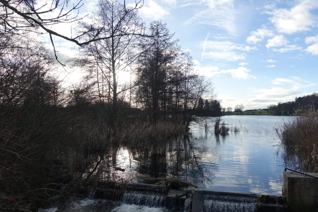 Bild 4: Am Inkwilersee. Heute ohne Angelrute.