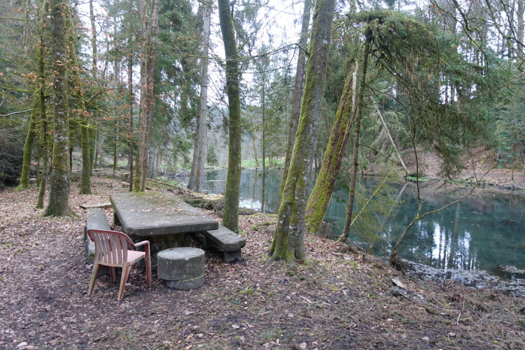 Bild 2: mein erster Rastplatz heute. Der Steinbachweiher. Auch ist der Biber aktiv. Immer einen Spaziergang wert.