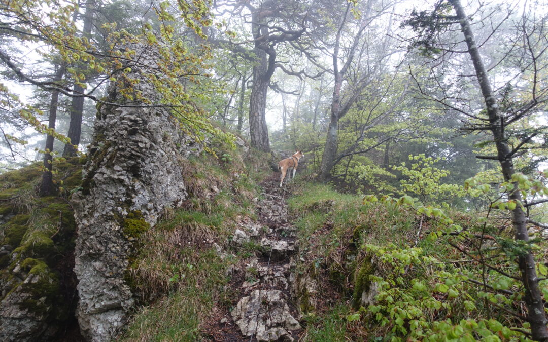 Eine kleine Wanderung