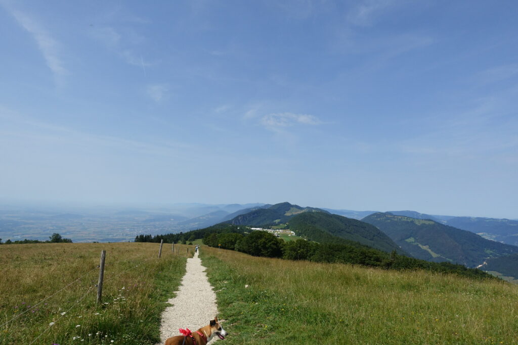 Bild 3: Auf dem Weg zum Weissenstein. Man sieht das Camp vom Uhuru Festival.