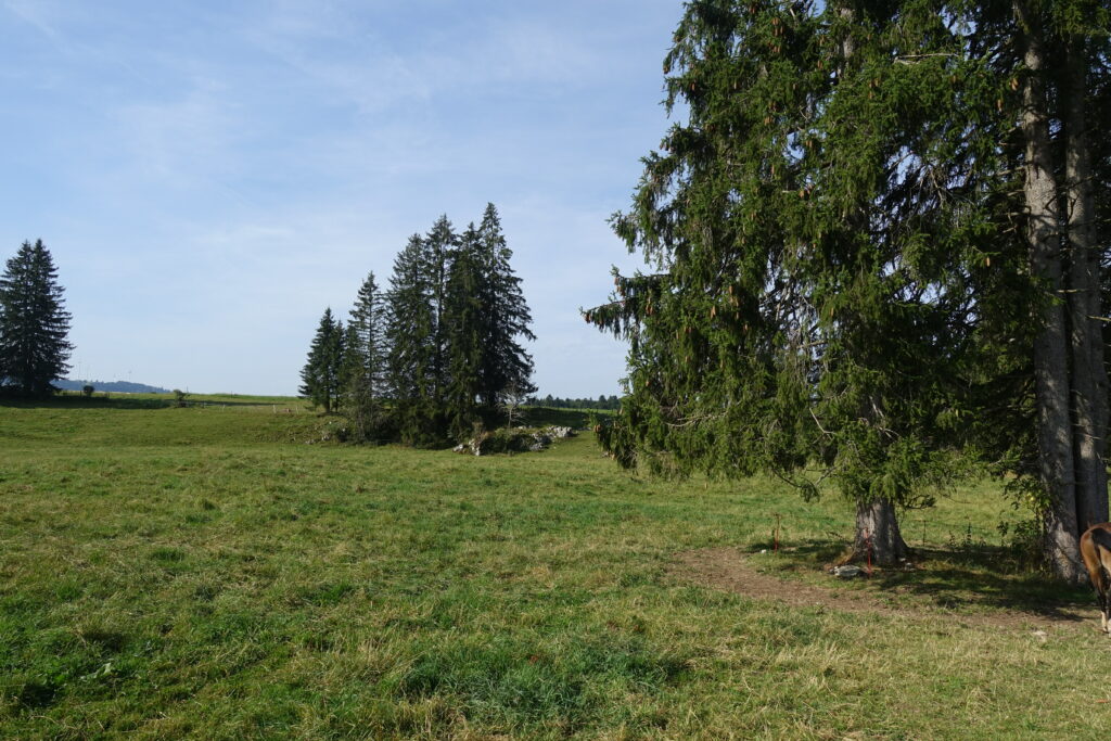 Bild 2: Eine von vielen schönen Views auf dieser Wanderung. Natur pur.