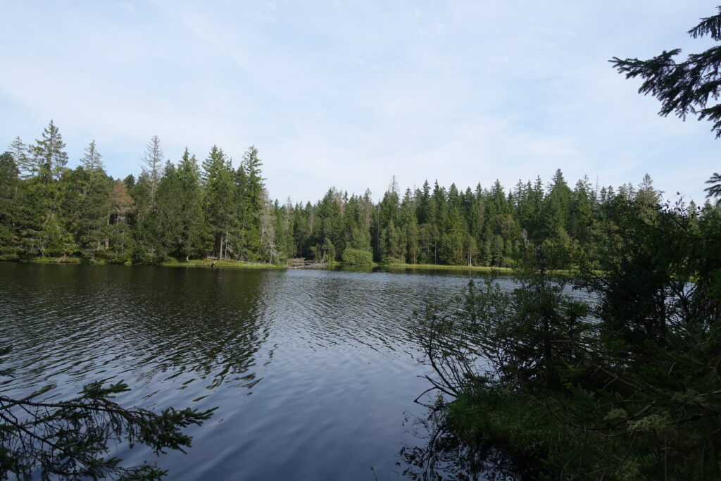 Bild 4: Am «Etang de la Gruère» sieht es aus wie in Schweden. Einfachschön.