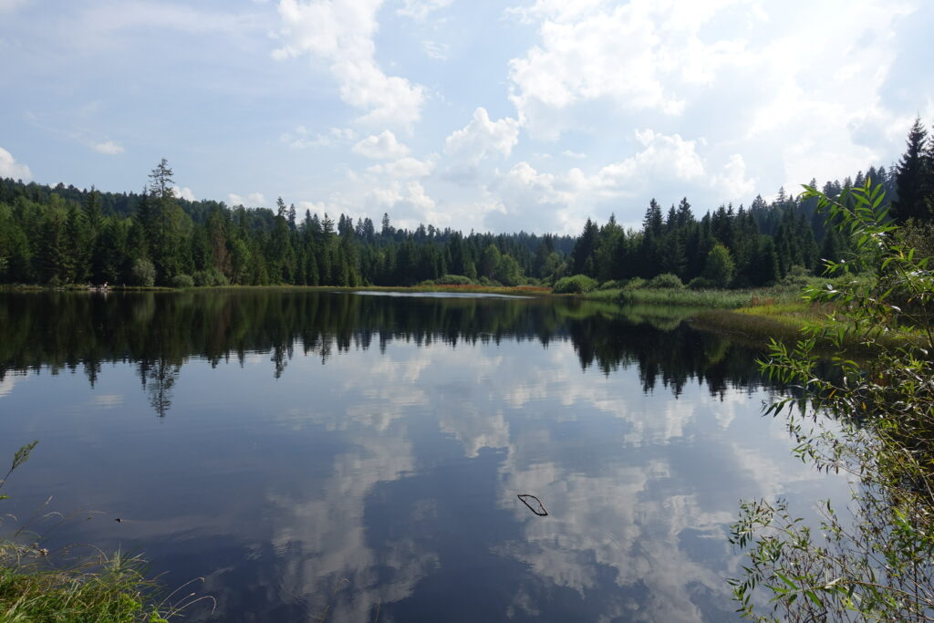 Bild 8: «Etang des Royes» heisst dieses Gewässer. Klein aber fein. Der Wanderweg ist nur ein sehr kurzes Stück an diesem See. Also stehen bleiben und geniessen!