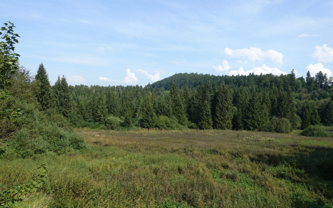 Eine schöne Tour in den Freibergen