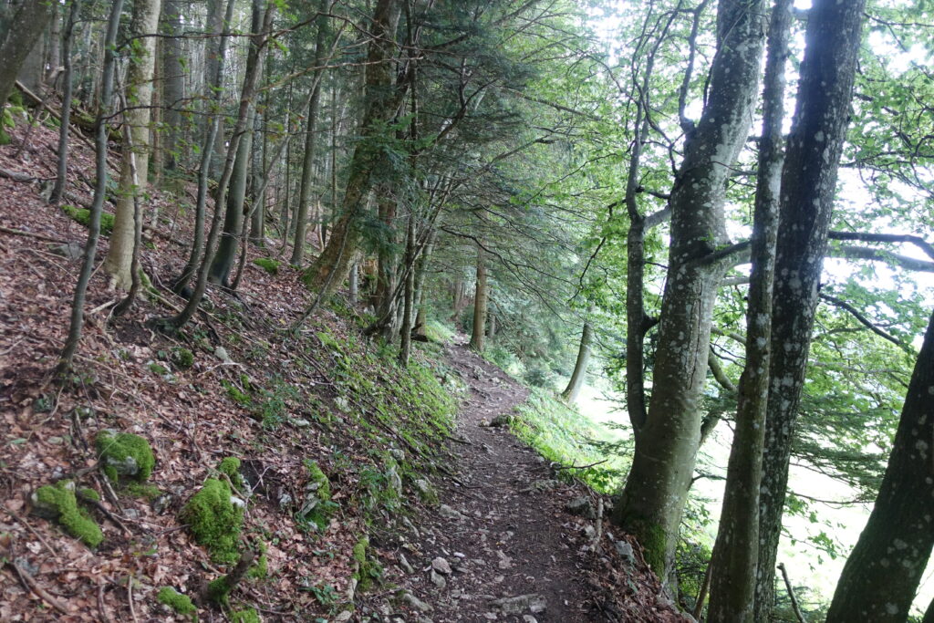 Bild 5: Irgendwo zwischen Passwang und Schelltenpass.