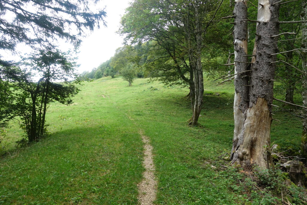 Bild 10: Vor der Chuematt. Den Weg kannte ich bereits von einer früheren Wanderung. Allerdings bin ich damals in umgekehrter Richtung gelaufen. Auch so ganz schön.