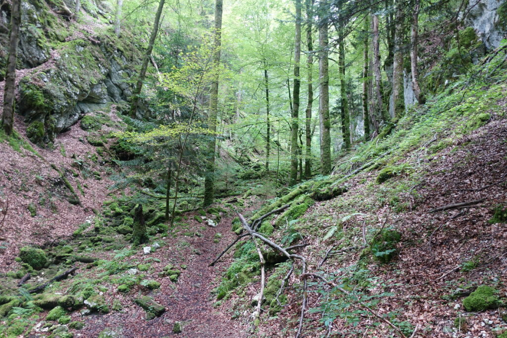 Bild 11: Am Einstieg zur Wolfschlucht. Ein würdiger Abschluss dieser schönen Tour!