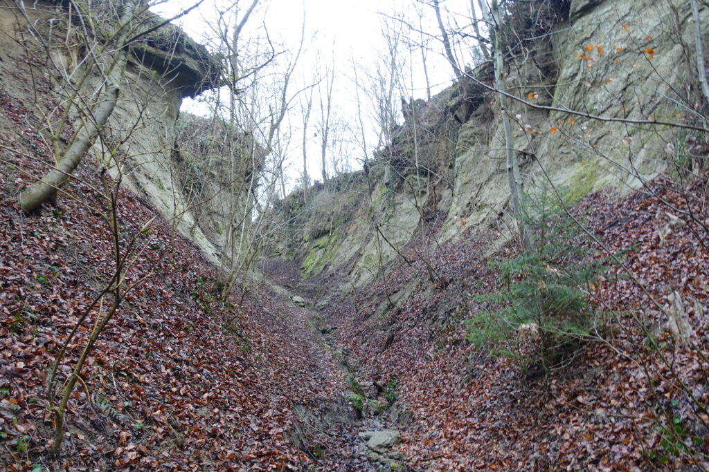 Bild 2: Dieser Canyon war es wert hochgelaufen zu werden.