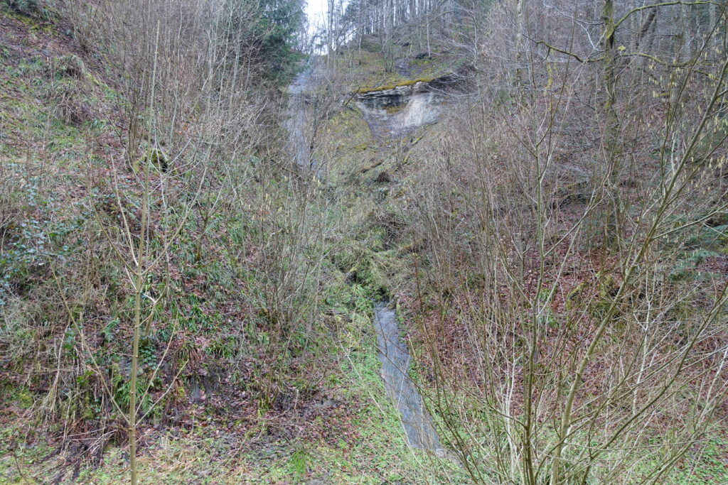 Bild 8: Eine wasserreiche Gegend. Von beiden Seiten kommen immer wieder Bäche den Hang runter.