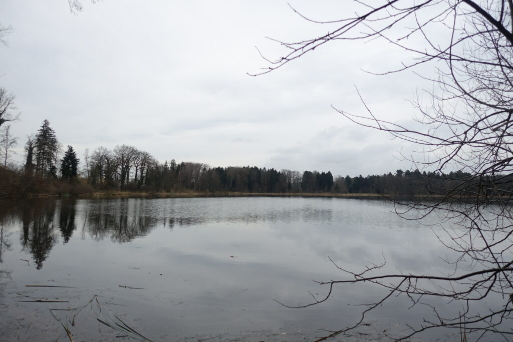 Bild 11: Der Burgäschisee. Bei den Einheimischen einfach Aeschisee genannt.