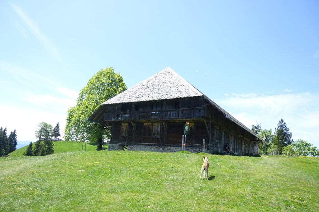 Bild 4: Wenn man diese alte schöne Haus erblickt, hat man es geschafft. Ein paar wenige Meter fehlen noch. Aber die macht man auch noch!
