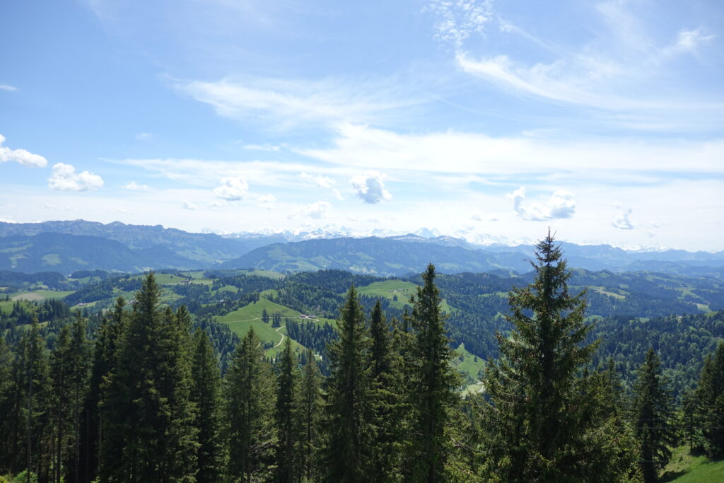 Bild 5: Auf dem Foto kommt es leider nicht so gut rüber. Aber die Aussicht ist schon cool und die Mühe allemal wert.