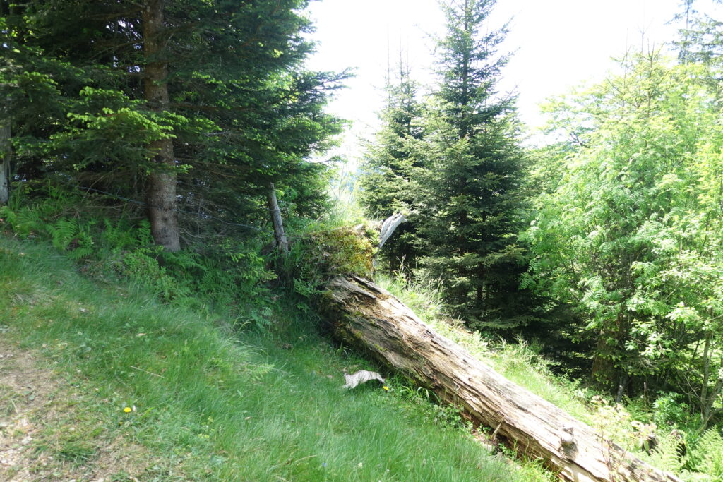 Bild 7: Eines von vielen schönen Motiven auf diese Wanderung!