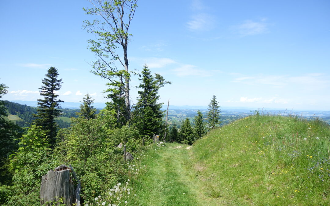 Ein Klassiker: Wanderung zum Napf